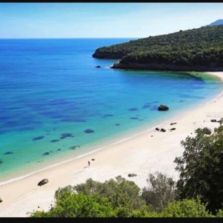 Villa Palmela Village Quinta do Anjo Ngoại thất bức ảnh